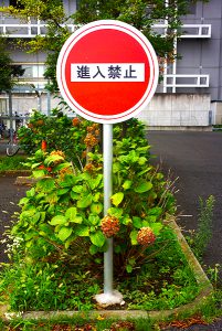 東京・神奈川・埼玉［看板サイン専門店］ 有限会社ワールドワン・サイン 看板製作・施工／看板デザイン会社 ロードサイン 貸し看板